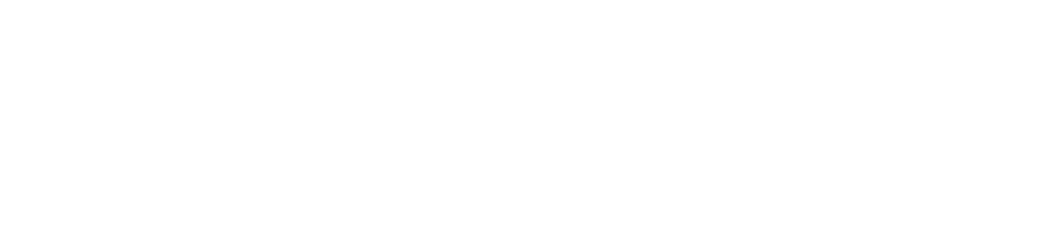 The Amigos Collective